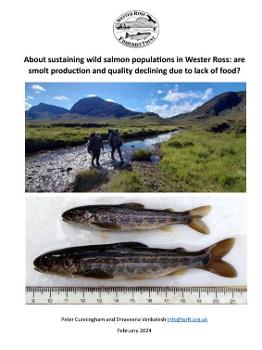 Juvenile salmon survey for Wester Ross 2023 report